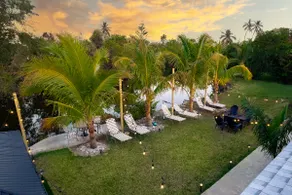 3 - Image 2