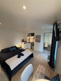 Modern and secure studio with garden - Image 4