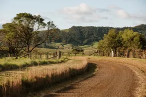 Dorrigo Rainforest Retreat - Image 2