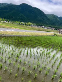 Biwakoの彩浜 - Image 2
