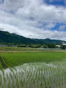 Biwakoの彩浜 - Image 3