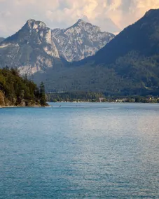 panoramaNEST - Image 2