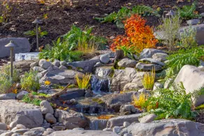 Cottage w/Creek Views:HITS:Backyard Oasis - Image 5