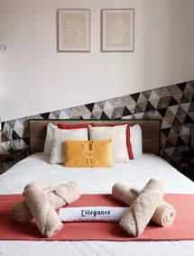 Nancy elegance Cocooning apartment - Image 2