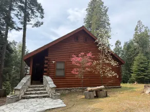 Cozy Mountain Getaway! Main Cabin+Bunkhouse - Image 4