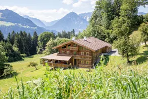 Superior Chalet Brandleit - Image 3