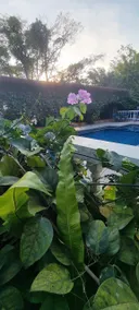 Cerro Azul, Country House with Heated Pool. - Image 5