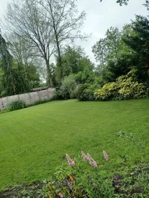 Bungalow just outside Zuidwolde (Drenthe) - Image 3