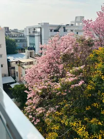 1BHK Couple friendly/ Car parking /NIFT HSR layout - Image 3