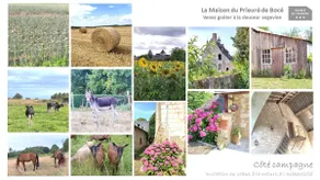The Priory House of Bocé - Image 3