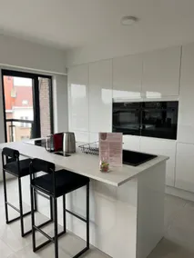 Luxury Apartment | Near ING Arena & Expo 12 | 2 BR - Image 3