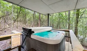 Cozy Dog-Friendly Studio Cabin with Hot Tub, Jetted Tub, Fireplace & WiFi - Image 5