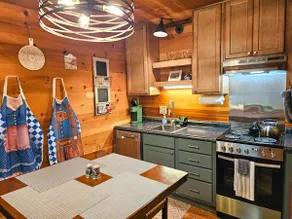 Cozy Dog-Friendly Studio Cabin with Hot Tub, Jetted Tub, Fireplace & WiFi - Image 3