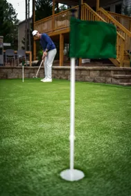 6BR w/ Golf Sim Putting Green Hot Tub Sauna Games - Image 3
