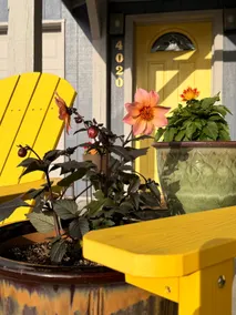 Bright 1br Apartment Close to Horsetooth Res. - Image 2