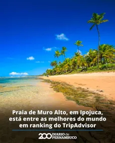 Beach Point - Muro Alto - Image 3