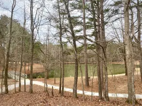 Mary Ryan's House at Kingfisher Lodge - Image 4