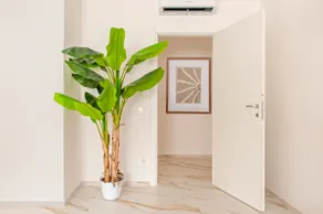 Seaside Loft - Marina di Massa - Image 3