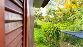 Casa Pitaya | São Jorge Neighborhood - Clean and organized - Image 4