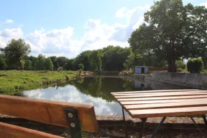 Studio by the pond - Image 3