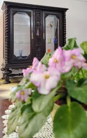 Arcos Apartment - Image 5