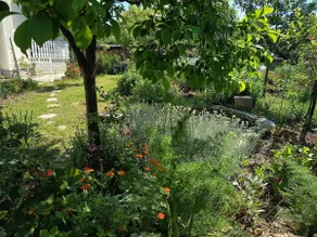 Rosemary – a family corner in the countryside - Image 3