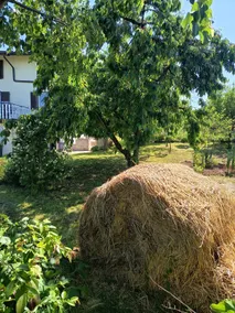 Rosemary – a family corner in the countryside - Image 2