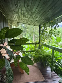 Rustic Chalet - Image 3