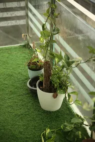 Your own NEST|fully furnished 2bhk|Ernakulam|Kochi - Image 5