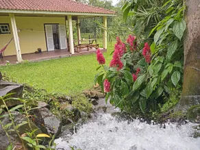 Beautiful view, house with a view of the waterfall - Image 3