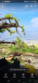 Tachukal Beach Loft by the Sea. - Image 2