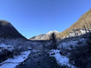 the five travelers on the river in the woods - Image 4