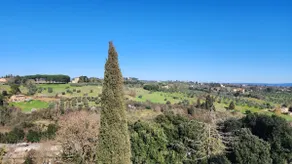 La casa dei nonni - Image 2