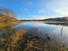 Chácara Paraíso Verde Joa (with access to the dam) - Image 5