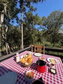 Immersive chalet in the nature of Urubici - Image 5