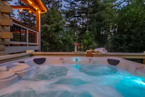 Cabin, Hot Tub, Firepit - 4 miles to Downtown AVL - Image 3