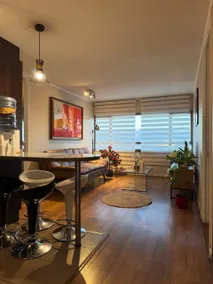 Modern 2-bedroom/2-bathroom apartment with parking - Image 4