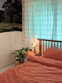 Tiger House - Image 2