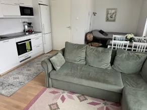 New spacious studio in the city center - Image 3