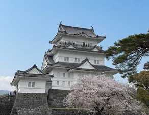 Umenoya Odawara-castle 5 min / Hakone 15 min / PC1 - Image 3