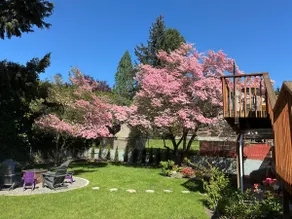 Beautiful & Spacious Retreat |A/C| Family Friendly - Image 2