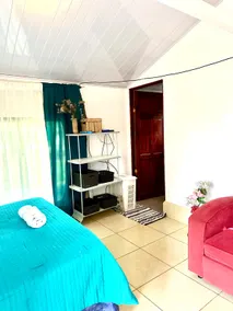 The cabin, Playa Río, hot springs, waterfalls - Image 4