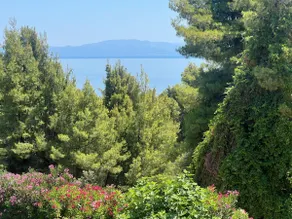 Little paradise in front of the sea - Image 3