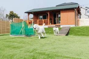 One - Log house where you can stay with pets - [Limited to one group per day] - Image 4