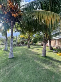 Casa Chachalacas Veracruz - Image 4