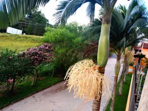 Mantiqueira Hosting - Image 2