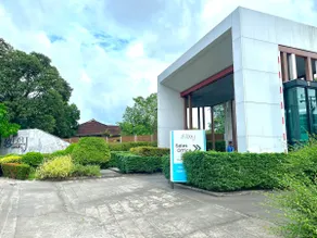 Luxury 3BR Private Villa in Phuket - Image 2