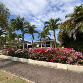 Tropical Tranquillity - Image 1