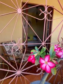 Seasonal House in Goianá-MG! - Image 5