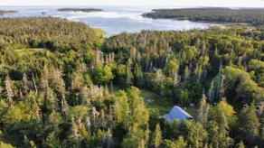 Handcrafted creative cabin with a sauna and piano - Image 5